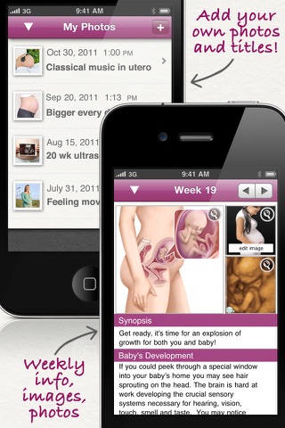 iPregnant Pregnancy Tracker screenshot 2