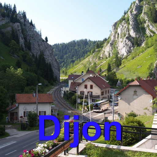Dijon Offline Map