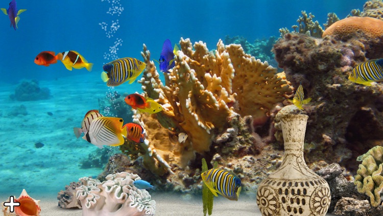 MyReef 3D Aquarium 2 Lite