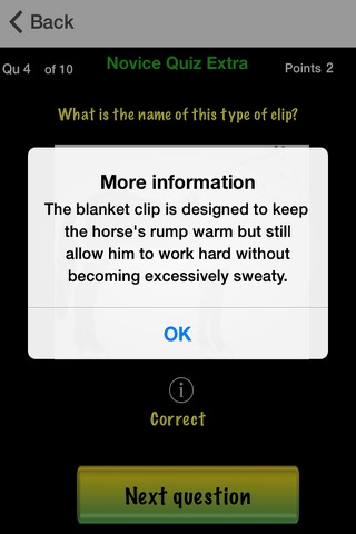 Horse Quiz 2 screenshot 4