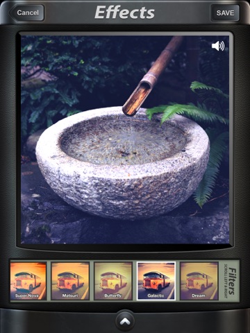 Camera SX Pro for iPad : Photo with Sound screenshot 3
