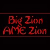 BIGZIONAMEZ