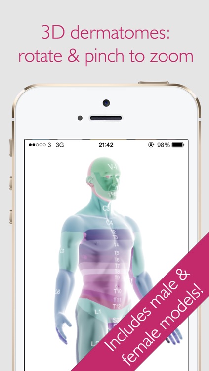 Dermatomes Pro 3D