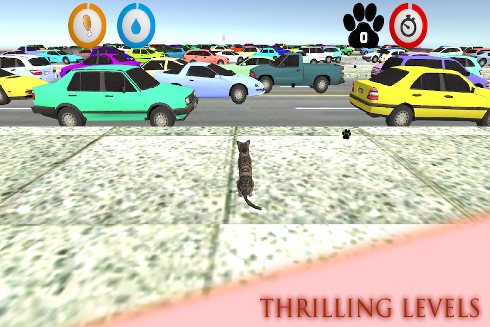 Real Cat Simulator screenshot 2