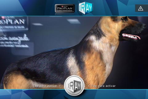 PROPLAN xRAy screenshot 3