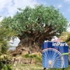 Disney's Animal Kingdom InPark Assistant