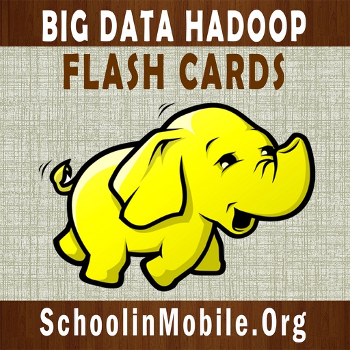 Big Data Hadoop Flashcards icon