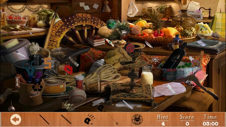 Celebrity Kitchen Hidden Objects