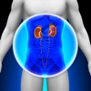 Practical Urology (iPad version)