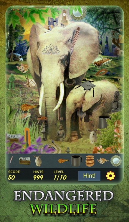 Hidden Object - Endangered Wildlife