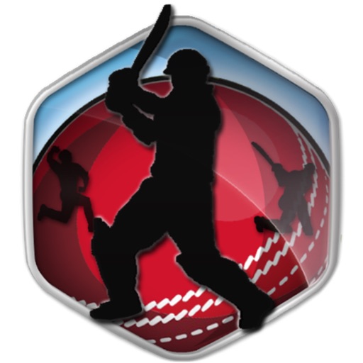 Box Cricket International 2014