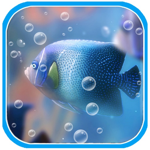 Crazy Fish Picture Free iOS App