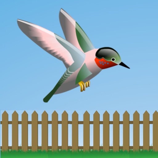 Flappy Hummingbird! iOS App