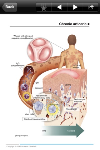 Dermatology Mini Atlas screenshot 3