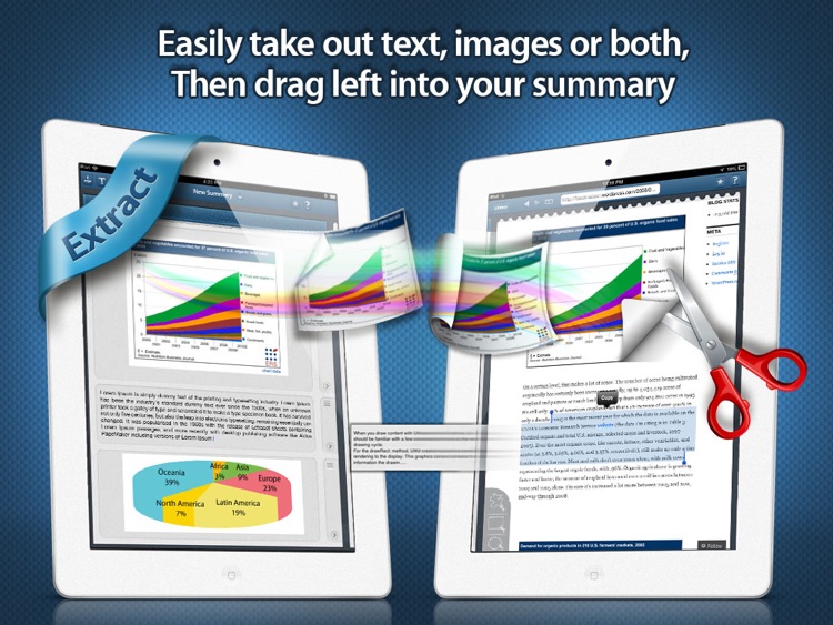Summary Pro