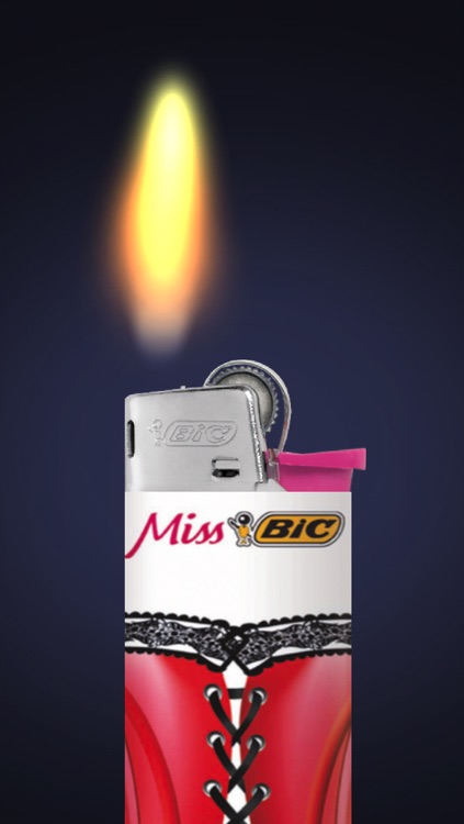 My BIC® Lighter