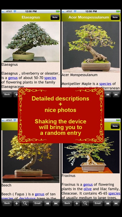 Bonsai Encyclopedia