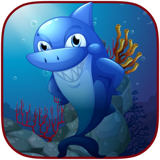 Shark Splating Hungry Seal Game - For Kids Icon