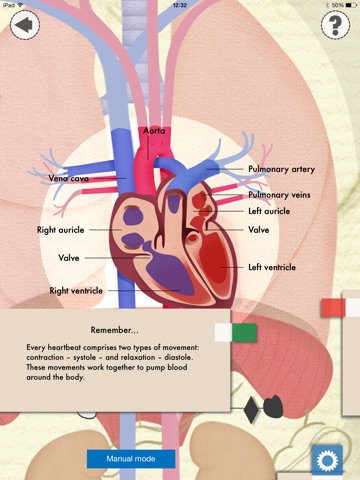 Heart and Lungs Lab screenshot 2