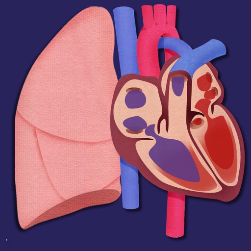 Heart and Lungs Lab icon