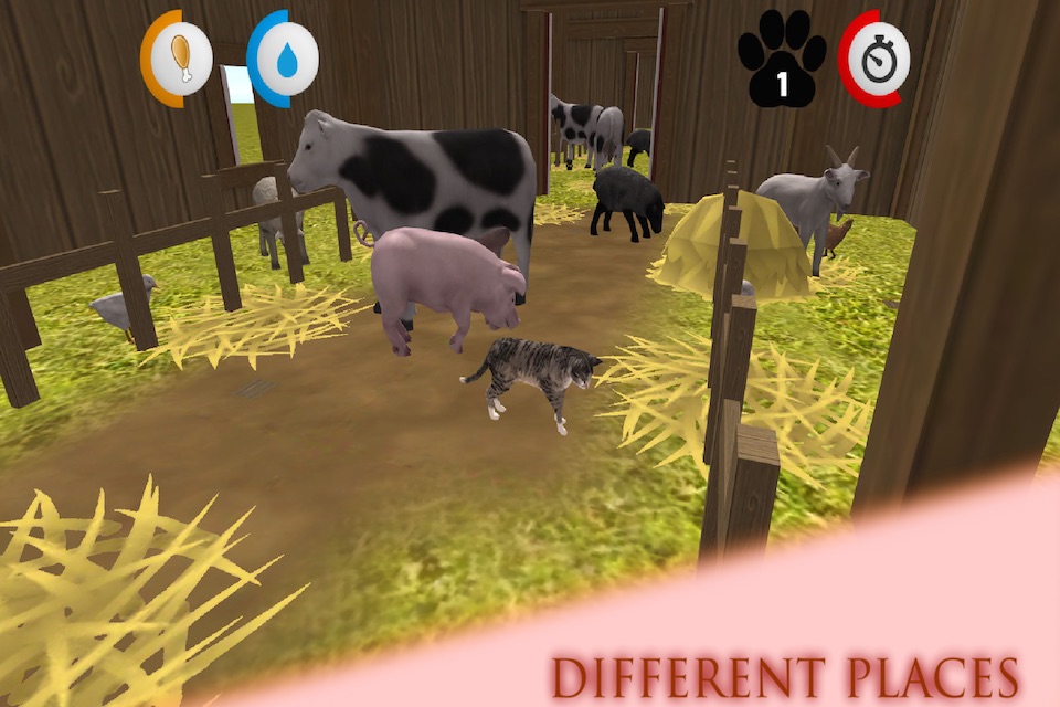 Real Cat Simulator screenshot 3