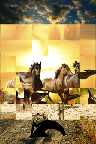 TurnPuzz - Horses in the Sunset screenshot 2