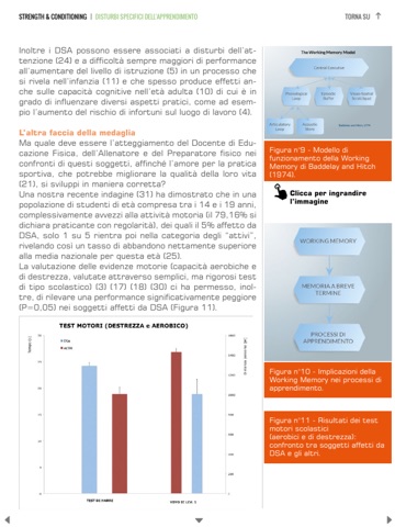 Strength & Conditioning N° 8 screenshot 4