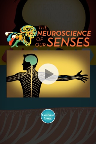Touch: The Neuroscience Of Our Senses screenshot 3