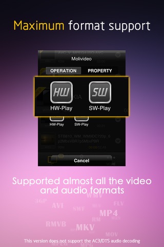 MoliPlayer Pro-video & music media player for iPhone/iPod with DLNA/Samba/MKV/AVI/RMVB screenshot 2