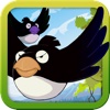 Fat Bird Dash-Exciting Adventure in Dangerous Forest