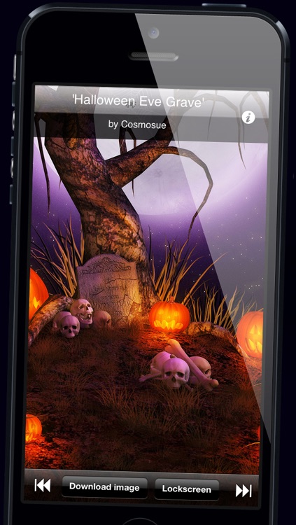 Skull & Halloween Backgrounds