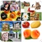 8 Picture jigsaw PuzzleGame - 6 Cognitive Slider brain teasers & 4 shuffle pack puzzle game