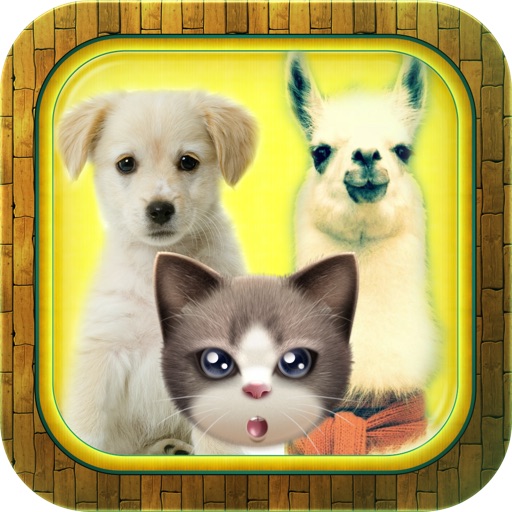 Are You Really Quick? - Cat or Dog or Llama icon