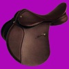 Physical Horse 2 - Equestrian Horsemanship Reference App