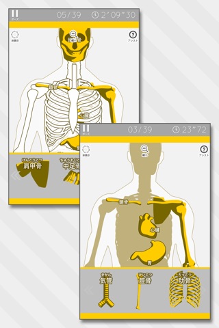 Enjoy Learning Anatomy puzzle screenshot 2
