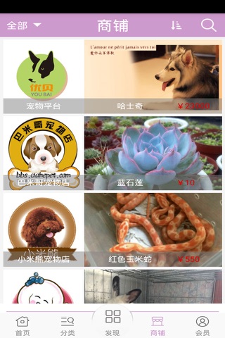 Screenshot of 宠物平台