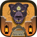 Hidden Object  Hidden Objects Animal Game