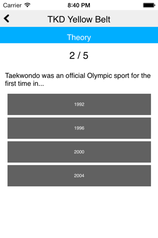 The Taekwondo Yellow Belt screenshot 4