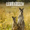 Melbourne Kanga-Who
