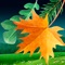 "The Seasons " is the interactive version of Latvian people's fairy tale "How the trees did it", which continues the series of interactive teaching aids published by E Forma Ltd