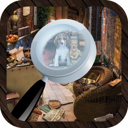 Hidden Objects Mistry House Icon