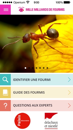 Mille milliards de fourmis(圖1)-速報App