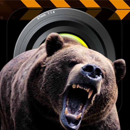 Bear Attack FX icon