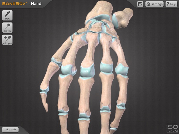 BoneBox™ - Hand Viewer