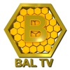 Bal TV