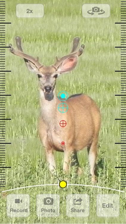 Video Scope Sight