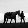 Horse Back Riding Principals and Lessons - Horsemanship