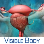 Reproductive and Urinary Anatomy Atlas Essential Reference for Students and Healthcare Professionals