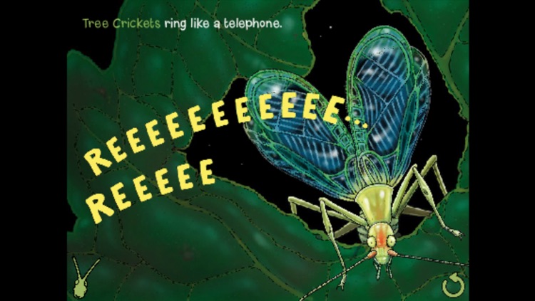 Noisy Bug Sing Along