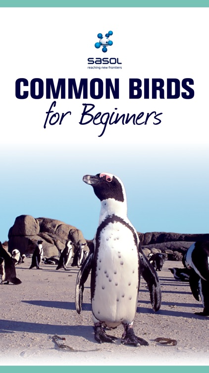 Sasol Common Birds for Beginners (Full): Quick facts, photos and videos of 46 common southern African birds